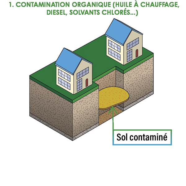 1 - Contamination organique