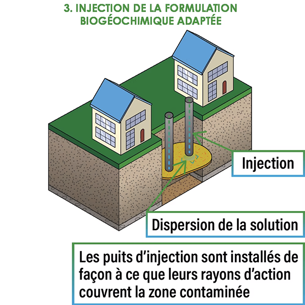 3 - Injection de la formulation biochimique adaptée