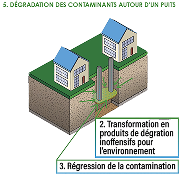 5 - Dégradation des contaminants autour d'un puits-1