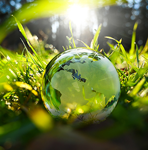 solution ecologique